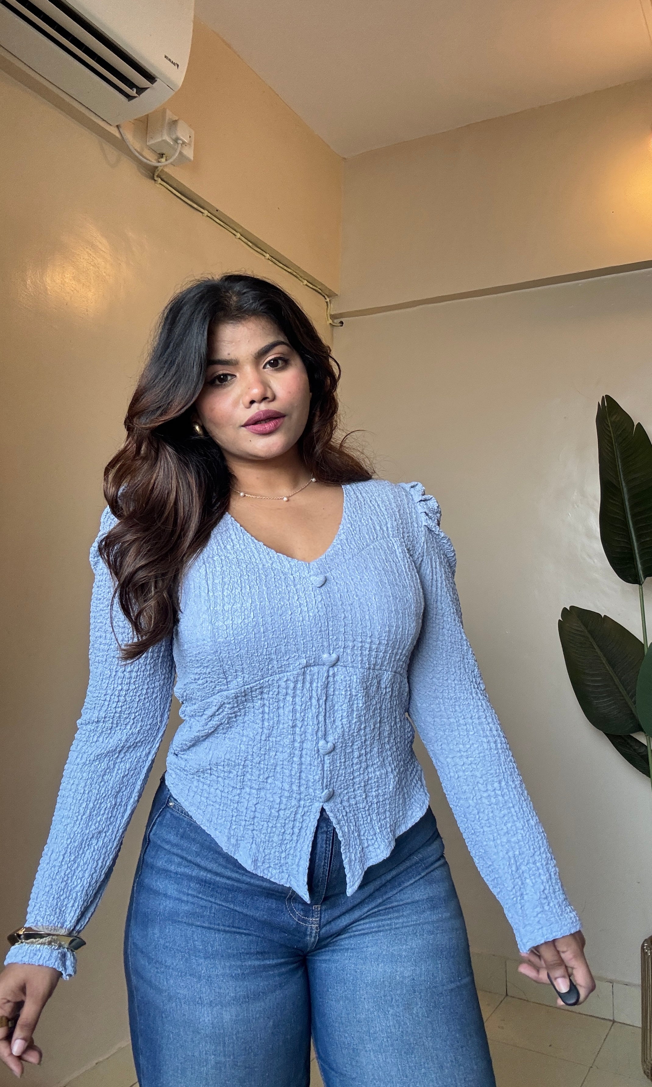 Textured V Neck Puff Sleeve Top